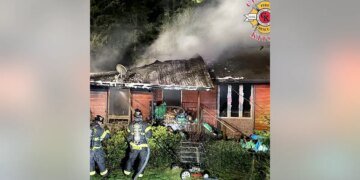 House Fire in Washington Claims Lives of 40 Dogs; Firefighters Rescue 3