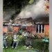 House Fire in Washington Claims Lives of 40 Dogs; Firefighters Rescue 3