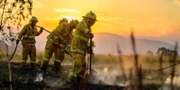 Human Remains Discovered Amid Ongoing Bushfire Crisis in Australia