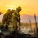 Human Remains Discovered Amid Ongoing Bushfire Crisis in Australia