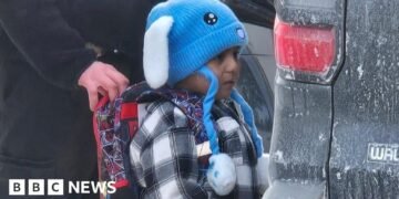 ICE Detains Five-Year-Old Liam Ramos in Minnesota Operation