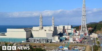 Japan Halts Operations at World's Largest Nuclear Plant Shortly After Restart