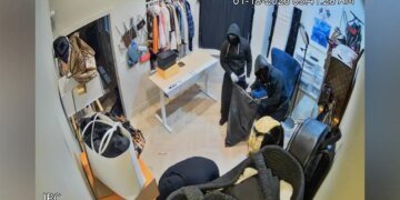 Masked Burglars Target Luxury Handbag Store in California, Caught on Camera