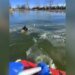 Missouri Firefighters Rescue Dog from Icy Lake in Daring Operation