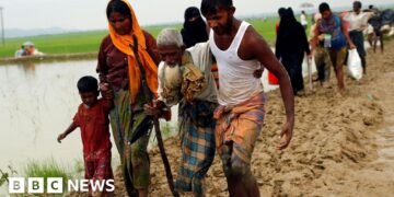 Myanmar Commences Defence at International Court of Justice Hearing