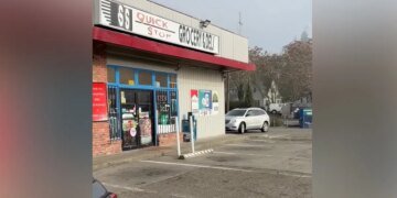 Police Shoot Washington Man Following Stabbing of Victim and Dog