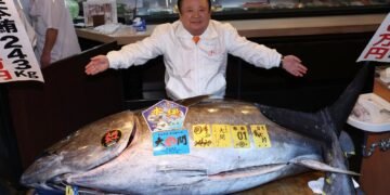 Record £2.4m Bluefin Tuna Sold at Japan Auction, Setting New Market Benchmark