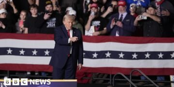 Republicans Question Immigration Force's Effectiveness Amid Policy Debates