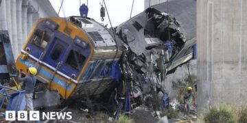 Residents recount chaos as crane collapses onto moving train