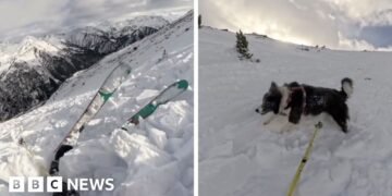 Skiing Incident: Avalanche Sweeps Moment Skier and Dog Down Mountainside