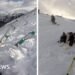 Skiing Incident: Avalanche Sweeps Moment Skier and Dog Down Mountainside