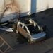 Tesla Dealership Arsonist Receives 60-Month Prison Sentence in Court Ruling