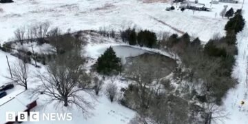 Three Brothers Tragically Die After Falling into Frozen Pond in Texas