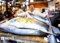 Tokyo Fish Auction Sets Record with $3.2m Sale of Bluefin Tuna