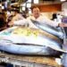 Tokyo Fish Auction Sets Record with $3.2m Sale of Bluefin Tuna