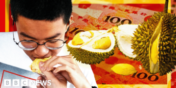 Town Seizes Opportunity in China's Growing Demand for Luxury Durian