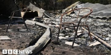 Tragic Bushfires in Australia Claim One Life and Destroy 300 Structures