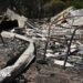 Tragic Bushfires in Australia Claim One Life and Destroy 300 Structures