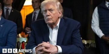 Trump's Policies Raise Concerns Over Global Stability and Power Dynamics