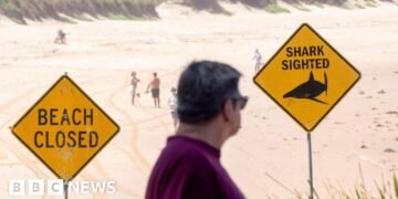 Twelve-Year-Old Boy Succumbs to Injuries Following Shark Attack in Sydney