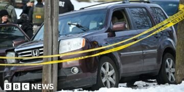 Video Captures Incident as ICE Agent Fatally Shoots Woman in the US