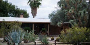 AI and Deepfakes: Investigating Their Role in the Nancy Guthrie Search