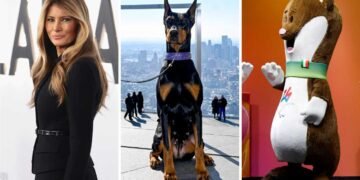 Exploring Secrets: What the CIA Prefers Remain Under Wraps