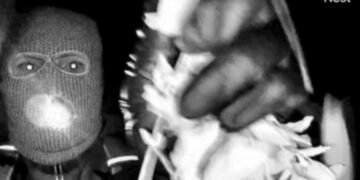 FBI Releases Images of Armed Individual in Search for Missing Mother Nancy Guthrie