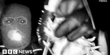 FBI Releases Surveillance Images in Search for Savannah Guthrie's Mother