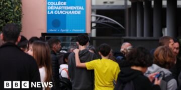 French Teacher in Critical Condition Following Student's Knife Attack