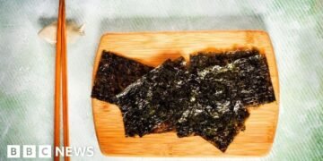 Global Korean Craze Drives Up Seaweed Prices in the UK Market