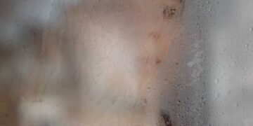 ICE Targeting Lawful Refugees Raises Concerns Over Immigration Policies