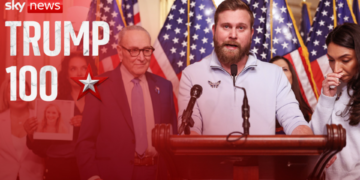 Irish National Detained by ICE Faces Immigration Challenges in the US