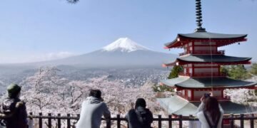 Japanese City Cancels Cherry Blossom Festival Due to Overwhelming Success