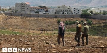 Lebanon Accuses Israel of Spraying Southern Villages with Herbicide