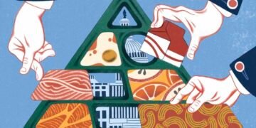 New Food Pyramid’s Implications for School Lunch Programmes and Beyond