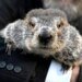 Punxsutawney Phil Predicts Weather on Groundhog Day in Pennsylvania