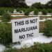 Understanding the Legal Divide: Hemp vs. Marijuana Regulations in the U.S.